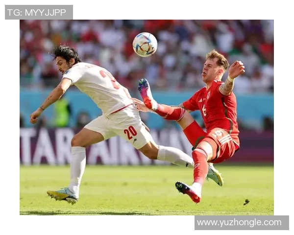 伊朗足球巨星崛起背后的故事与荣耀之路